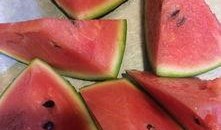 短剧圈子最新吃瓜