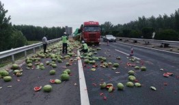 高速公路吃瓜,揭秘高速路上的奇闻轶事