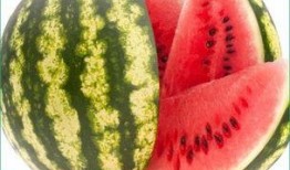 老的虎儿瓜可以吃不,传统美食的现代传承