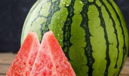 麒麟吃麒麟瓜,传奇瓜果的神秘传说