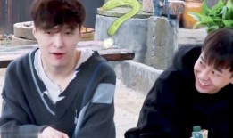 吃瓜群众磕cp,吃瓜群众见证甜蜜CP成长历程