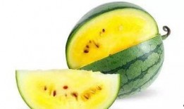 最好看的吃瓜,揭秘最好看的吃瓜瞬间