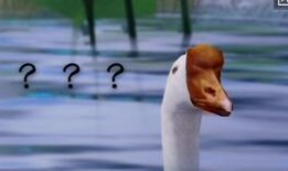 江工吃瓜,揭秘娱乐圈幕后故事