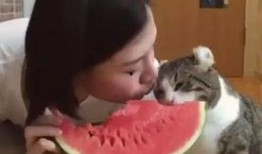 吃瓜女主人,一场关于成长与救赎的奇幻之旅