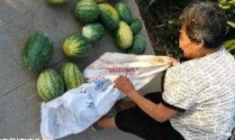 广西交院最近吃瓜,校园“吃瓜”事件掀波澜