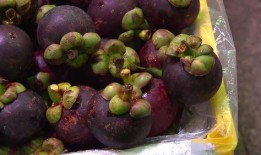 紫薇吃瓜图片,揭秘娱乐圈幕后真相