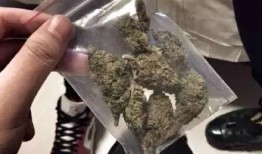 粉丝吃瓜反应,娱乐圈最新瓜料，吃瓜群众纷纷围观！