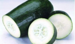 瓜种可吃吗,哪些瓜种可以放心食用