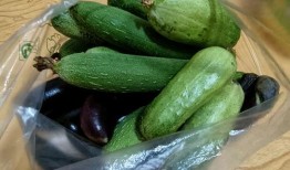 吃瓜日群7355292,一场全民参与的趣味盛宴