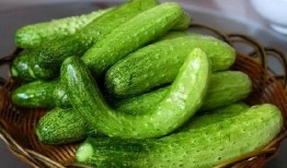 张凤霞吃瓜,揭秘娱乐圈幕后故事