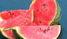 瓜西瓜吃蝌蚪找妈妈