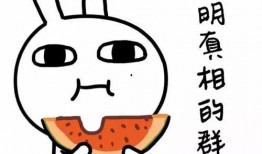 每日吃瓜今日必吃图片