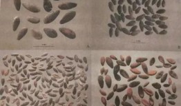 古代穿越吃瓜系统,解锁吃瓜系统，揭秘古代宫廷秘闻