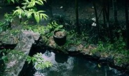 听雨吃曦瓜,一场别样的夏日时光