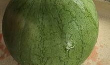 最近不敢吃的瓜,揭秘近期禁食瓜果背后的真相