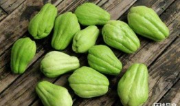 吃瓜能吃猪肉吗,吃瓜也能吃猪肉？揭秘瓜果与肉类的跨界美食