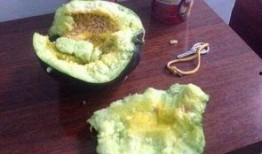 吃瓜可以吃瓤嘛,瓜瓤也能成为美味佳肴？