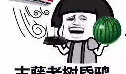 吃瓜群众怎么读,揭秘网络围观背后的心理奥秘