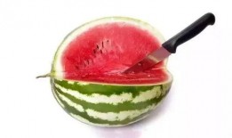 吃瓜级别,从初级吃瓜群众到资深瓜农的蜕变之路