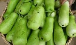 葫芦瓜减肥怎么吃