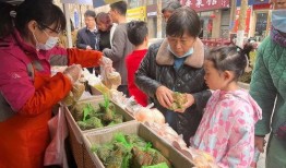 吃瓜群众社,网络舆论场中的“瓜田”风云