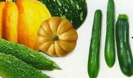 郑州吃内脏的瓜,探寻地道的内脏风味之旅