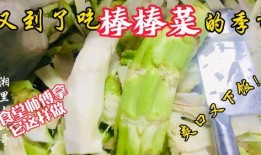 容县老师吃瓜,一场校园风波背后的真相