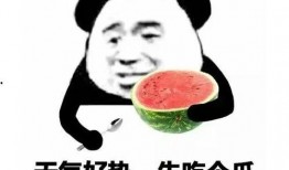 吃瓜照样斗图,轻松玩转趣味互动