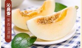 黄金蜜瓜可以吃吗怎么吃,美味食用指南与食用方法揭秘