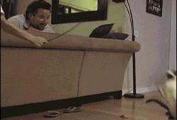 吃瓜gif图片,揭秘吃瓜gif背后的趣味瞬间