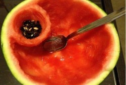 吃瓜不给勺,吃瓜群众如何不给勺，轻松看透明星幕后