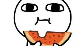 吃瓜的猹作者,网络红人背后的故事与影响