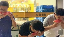 《吃瓜群众》比赛,一场全民参与的趣味盛宴