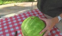 夏日吃瓜的感受,瓜果飘香——畅享清凉夏日美味之旅