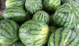 吃一口瓜州银蒂瓜,一口咬下，甜蜜满溢的瓜州特色