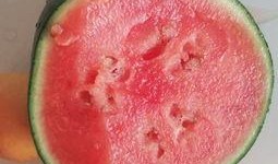 微醺小花吃瓜,揭秘娱乐圈的甜蜜瓜田