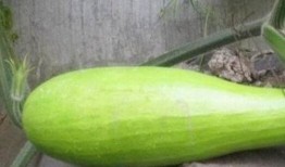 冬天砍瓜怎么吃