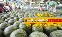 瓜云.中国在线吃瓜,在线吃瓜，畅享娱乐盛宴