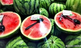 吃瓜地址2,一场网络热议背后的真相与反思