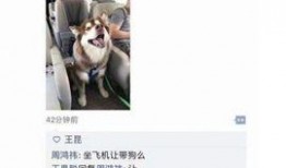 吃瓜网友小王,吃瓜网友小王带你揭秘娱乐圈那些事儿