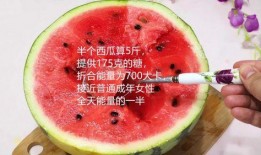 吃瓜基础知识大全,吃瓜基础知识大全解析