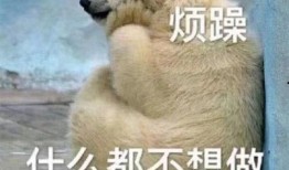 暴走吃瓜群众图片