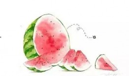 早秋吃瓜指南,揭秘秋季吃瓜指南