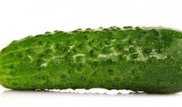 夜间吃瓜,揭秘夜间吃瓜的独特魅力