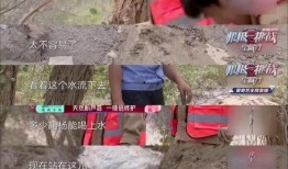 吃瓜群众小学,揭秘校园里的“瓜田”趣事