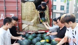 徐州师范大学吃瓜,揭秘校园热点事件