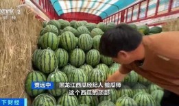 炫彩吃瓜图,一场视觉盛宴的趣味解读