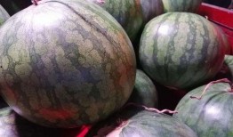 时意吃瓜,揭秘娱乐圈幕后故事