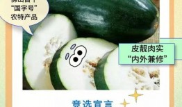 吃瓜佛山,探寻这座美食天堂的独特风味