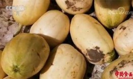 周讯吃瓜,娱乐圈最新热点事件大盘点